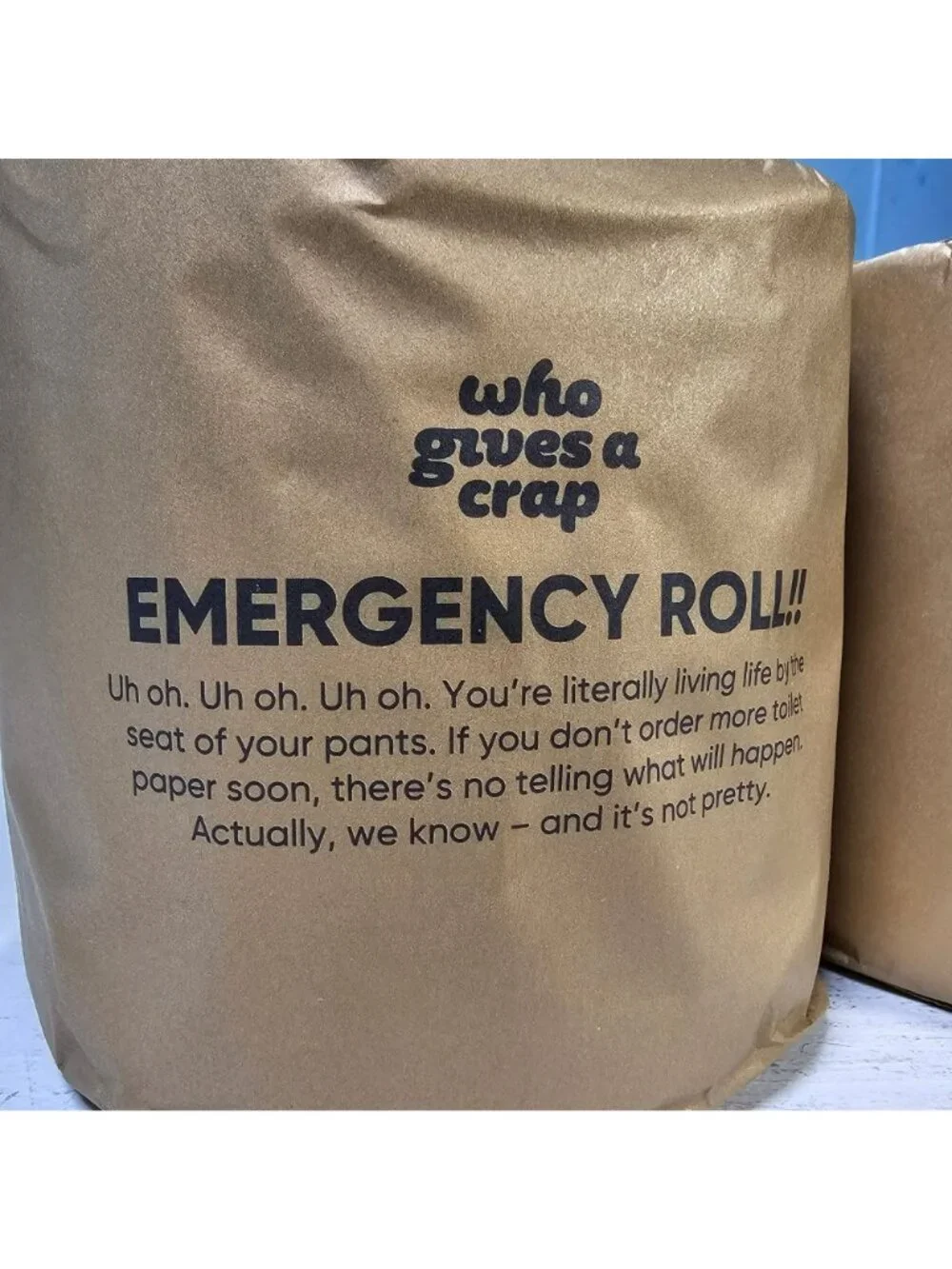 Who Gives A Crap 2-Pack Emergency Roll Toilet Paper